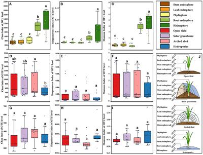 Colonization and Interaction of Bacteria Associated With Chinese Chives Affected by Ecological Compartments and Growth Conditions